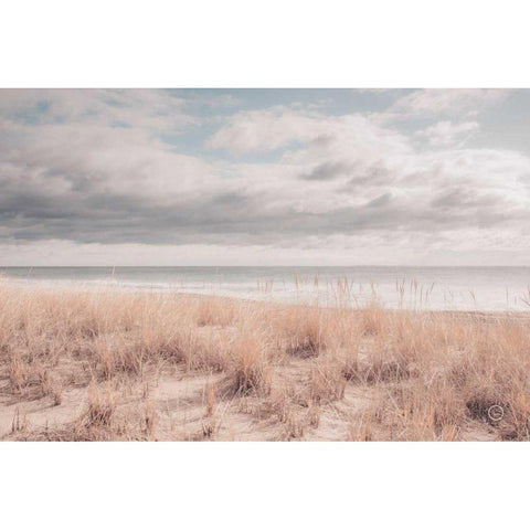 Soft Oceans Black Modern Wood Framed Art Print by Larson, Nathan