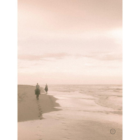 Horses on the Beach Crop White Modern Wood Framed Art Print by Larson, Nathan