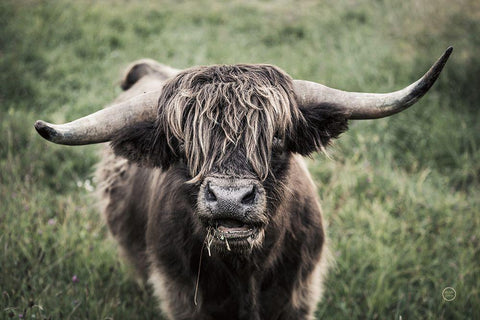 What White Modern Wood Framed Art Print with Double Matting by Larson, Nathan