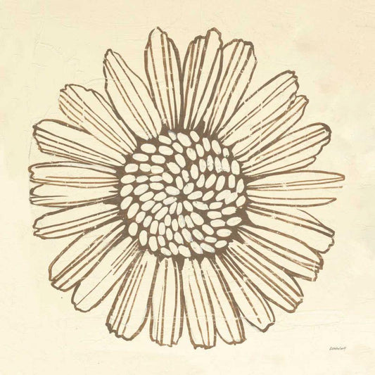 Image Only