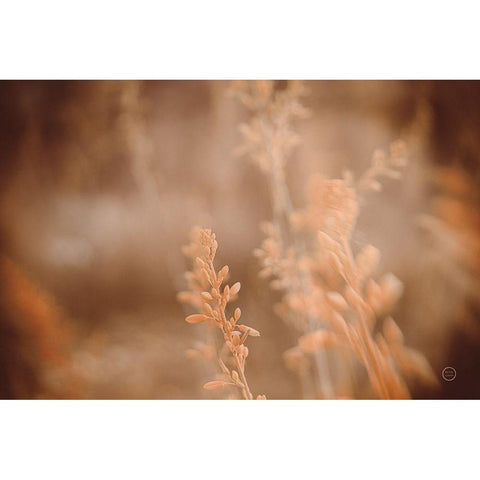 Texas Wild White Modern Wood Framed Art Print by Larson, Nathan