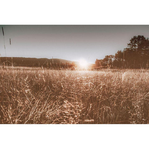 Fields of Gold Black Modern Wood Framed Art Print with Double Matting by Larson, Nathan