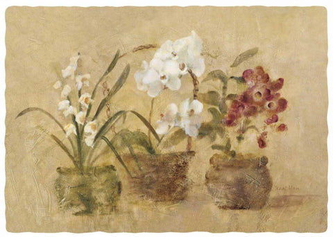 Collection of Orchids-48x35.5 Black Ornate Wood Framed Art Print with Double Matting by Blum, Cheri