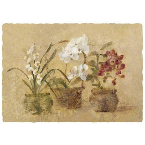 Collection of Orchids-48x35.5 Black Modern Wood Framed Art Print by Blum, Cheri