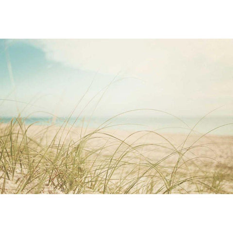 Beach Grass V Light Black Modern Wood Framed Art Print by Urquhart, Elizabeth