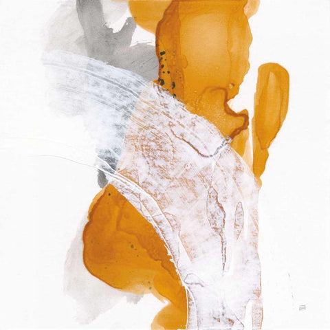 Amber Wash II Black Modern Wood Framed Art Print by Paschke, Chris