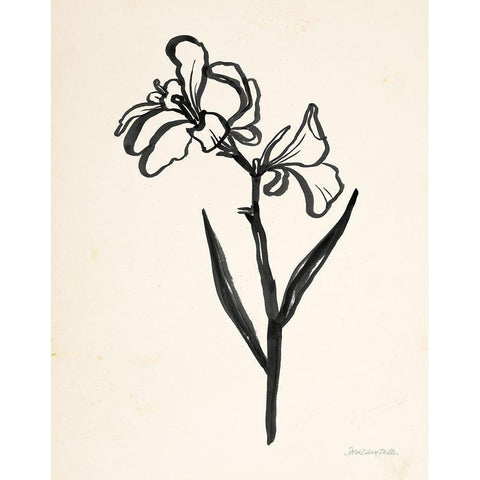 Ink Flower II Cream Black Modern Wood Framed Art Print with Double Matting by Miller, Sara Zieve