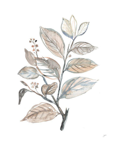 Cottage Leaves I Black Ornate Wood Framed Art Print with Double Matting by Panganiban, Karyn