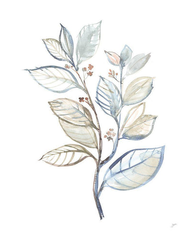 Cottage Leaves II White Modern Wood Framed Art Print with Double Matting by Panganiban, Karyn