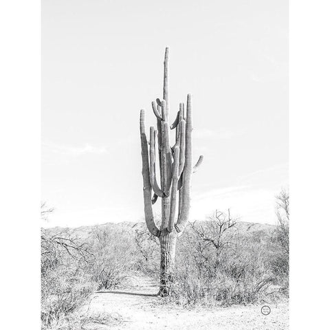 Standing Alone Black Modern Wood Framed Art Print with Double Matting by Larson, Nathan