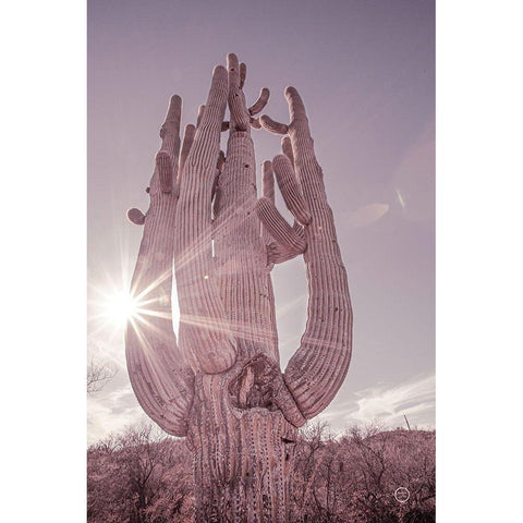 Dusty Desert Saguaro Gold Ornate Wood Framed Art Print with Double Matting by Larson, Nathan
