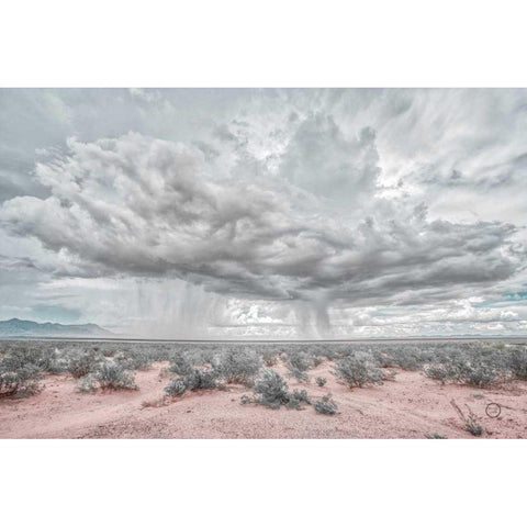 New Mexico Rain White Modern Wood Framed Art Print by Larson, Nathan