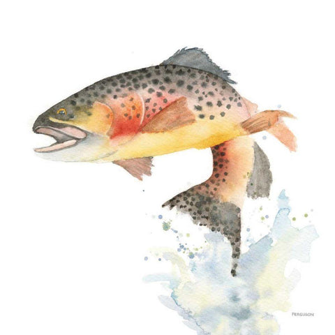 Cutthroat Trout White Modern Wood Framed Art Print with Double Matting by Ferguson, Kathy