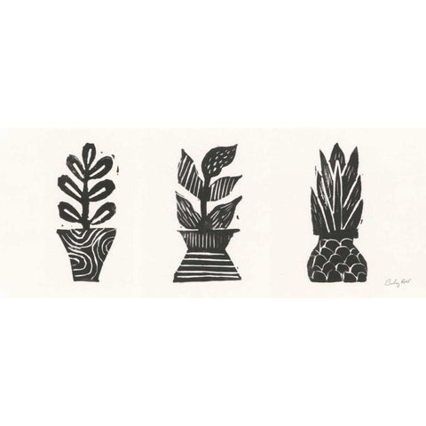 Planted II Black Modern Wood Framed Art Print with Double Matting by Prahl, Courtney