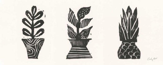 Image Only