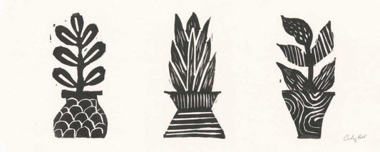 Image Only