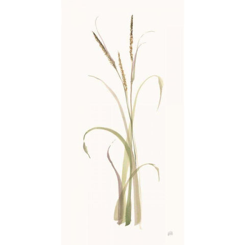 Lyme Grass White Modern Wood Framed Art Print by Paschke, Chris