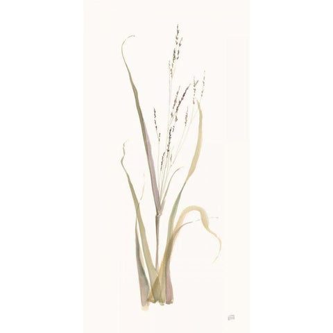 Moor Grass White Modern Wood Framed Art Print by Paschke, Chris