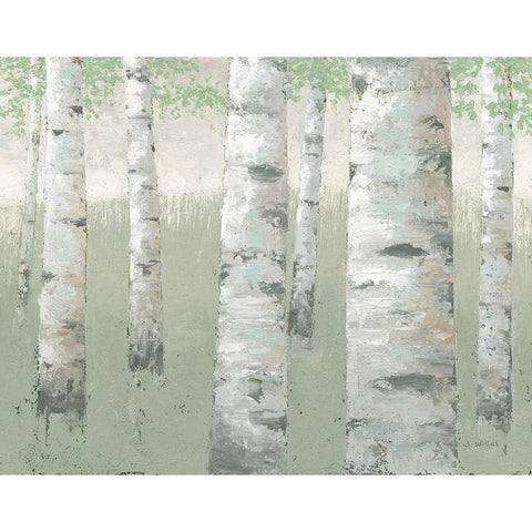 Spring Birch White Modern Wood Framed Art Print by Wiens, James