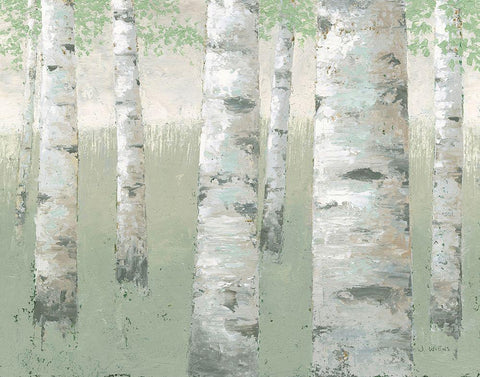 Spring Birch White Modern Wood Framed Art Print with Double Matting by Wiens, James