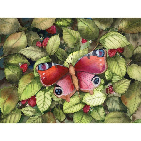 Majestic Butterfly Black Modern Wood Framed Art Print with Double Matting by McKenna, Kathleen Parr