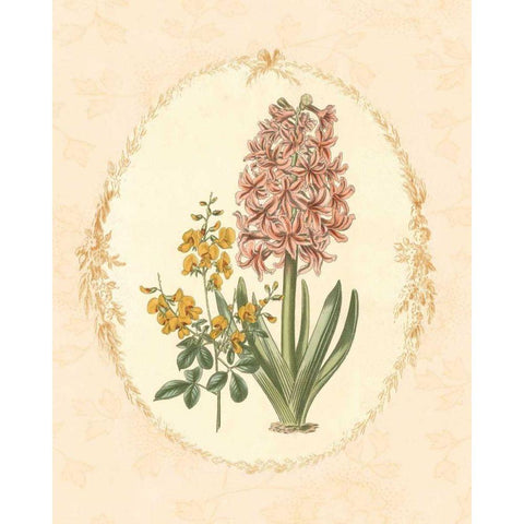 Gentle Soul Bouquet II Gold Ornate Wood Framed Art Print with Double Matting by Wild Apple Portfolio