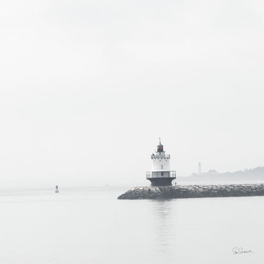 Image Only