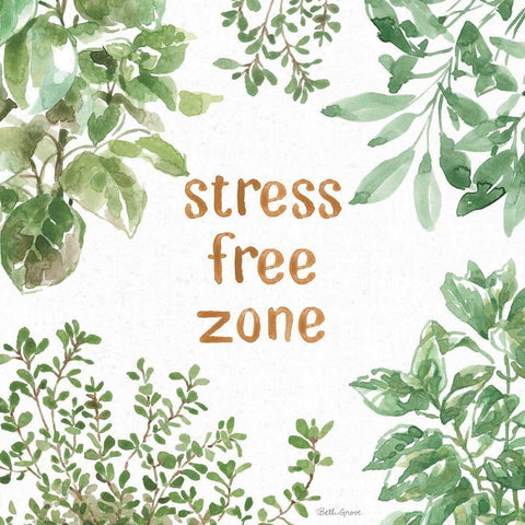 Herb Garden VII Stree Free White Modern Wood Framed Art Print with Double Matting by Grove, Beth