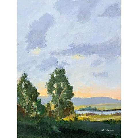 Evening Skies II White Modern Wood Framed Art Print by Munger, Pamela