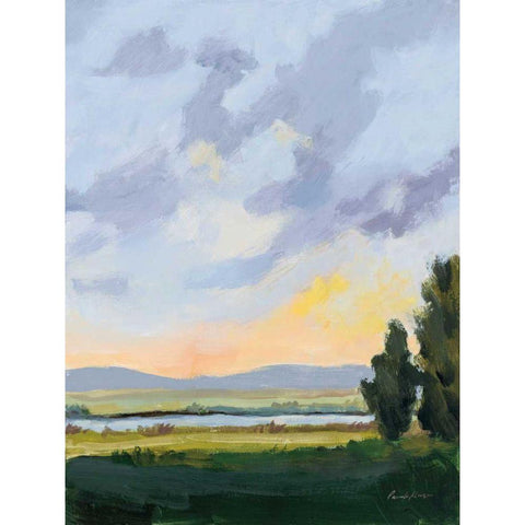 Evening Skies III Black Modern Wood Framed Art Print by Munger, Pamela