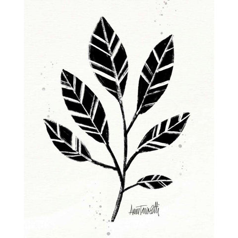 Botanical Sketches III Black Modern Wood Framed Art Print with Double Matting by Tavoletti, Anne