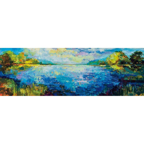 Panoramic Bliss Black Modern Wood Framed Art Print with Double Matting by Vertentes, Jeanette