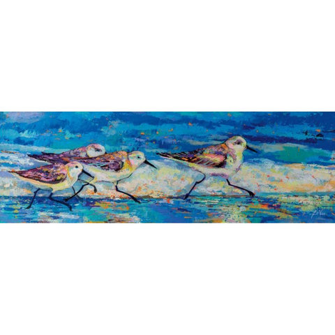 Racing Plovers Black Modern Wood Framed Art Print with Double Matting by Vertentes, Jeanette