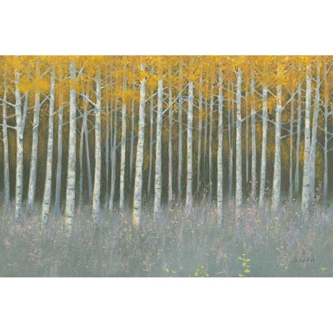 Forest Dusk Black Modern Wood Framed Art Print with Double Matting by Wiens, James