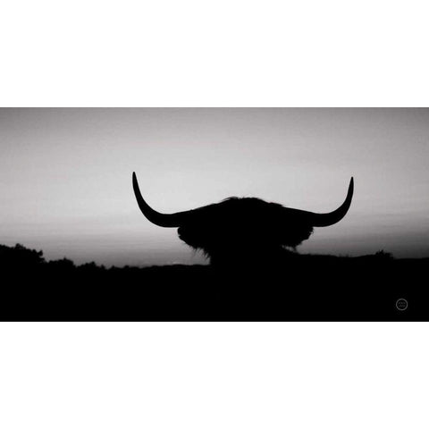 Bull Set BW Crop White Modern Wood Framed Art Print by Larson, Nathan