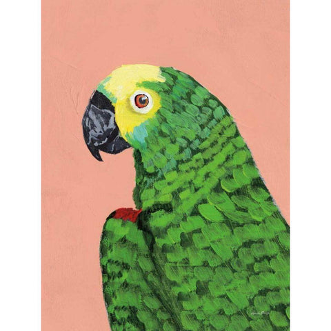 Parrot Head Black Modern Wood Framed Art Print with Double Matting by Munger, Pamela