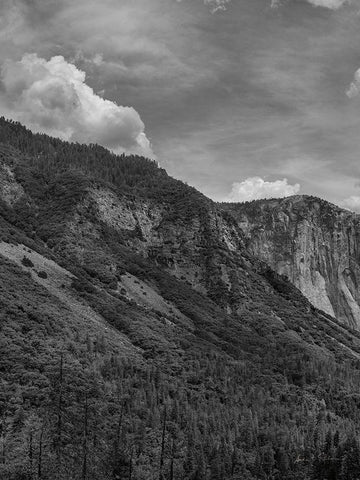 Scenic Landscape III BW Crop I White Modern Wood Framed Art Print with Double Matting by Eichman, Andre