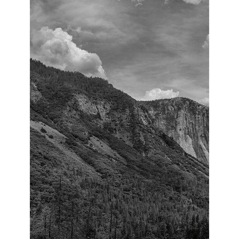 Scenic Landscape III BW Crop I White Modern Wood Framed Art Print by Eichman, Andre