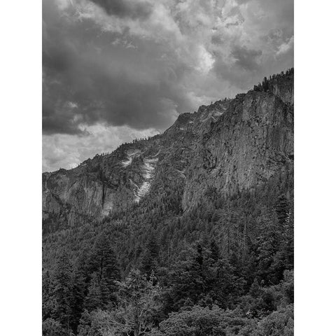 Scenic Landscape III BW Crop III Gold Ornate Wood Framed Art Print with Double Matting by Eichman, Andre