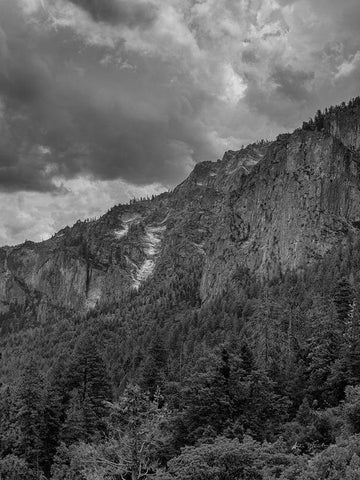 Scenic Landscape III BW Crop III Black Ornate Wood Framed Art Print with Double Matting by Eichman, Andre