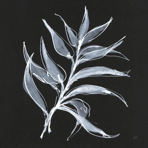 White Fern I Black Modern Wood Framed Art Print with Double Matting by Paschke, Chris