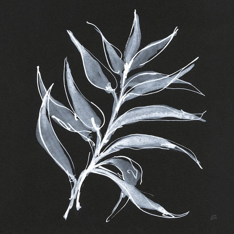 White Fern I White Modern Wood Framed Art Print with Double Matting by Paschke, Chris