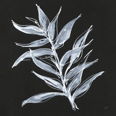 White Fern II Black Modern Wood Framed Art Print with Double Matting by Paschke, Chris