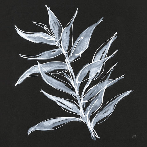 White Fern II White Modern Wood Framed Art Print with Double Matting by Paschke, Chris