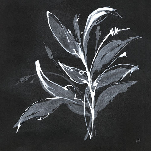 Chalkboard Branch I White Modern Wood Framed Art Print with Double Matting by Paschke, Chris