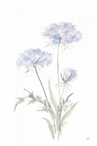 Tall Queen Annes Lace I Black Ornate Wood Framed Art Print with Double Matting by Paschke, Chris