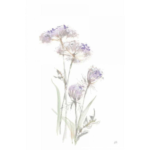 Tall Queen Annes Lace II Black Modern Wood Framed Art Print by Paschke, Chris