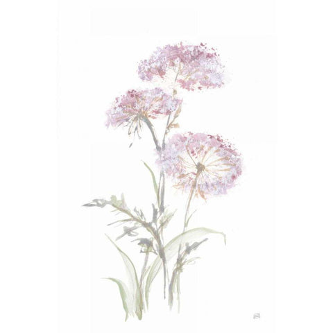 Tall Queen Annes Lace III White Modern Wood Framed Art Print by Paschke, Chris