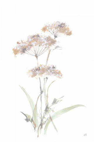 Tall Queen Annes Lace IV White Modern Wood Framed Art Print with Double Matting by Paschke, Chris
