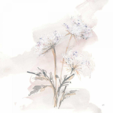 Queen Annes Lace I Gold Ornate Wood Framed Art Print with Double Matting by Paschke, Chris